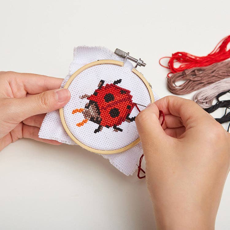 Ladybug Mini Cross Stitch Kit