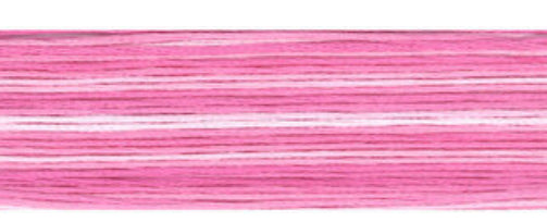 8009 Cosmo Seasons Variegated Cotton Embroidery Floss