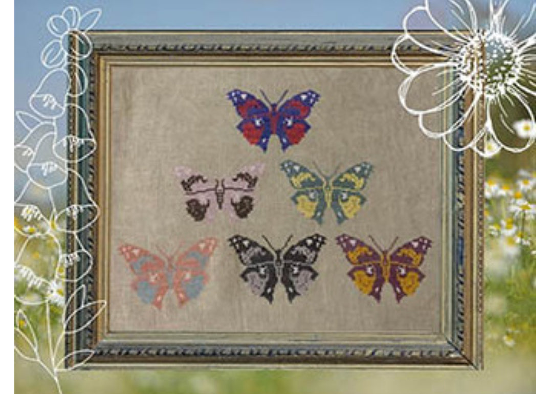 Butterfly Study - Darling & Whimsy