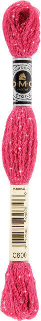 DMC Mouline Etoile Embroidery Thread - #C600