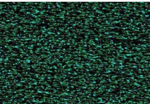 PB 20 Dark Green - Treasure Braid Petite from Rainbow Gallery