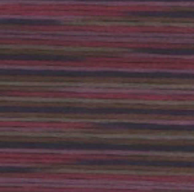 5027 Cosmo Seasons Variegated Cotton Embroidery Floss