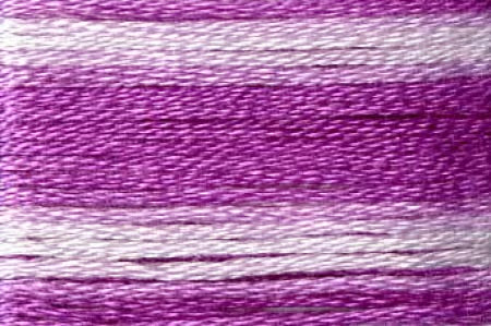 8060 Cosmo Seasons Variegated Cotton Embroidery Floss