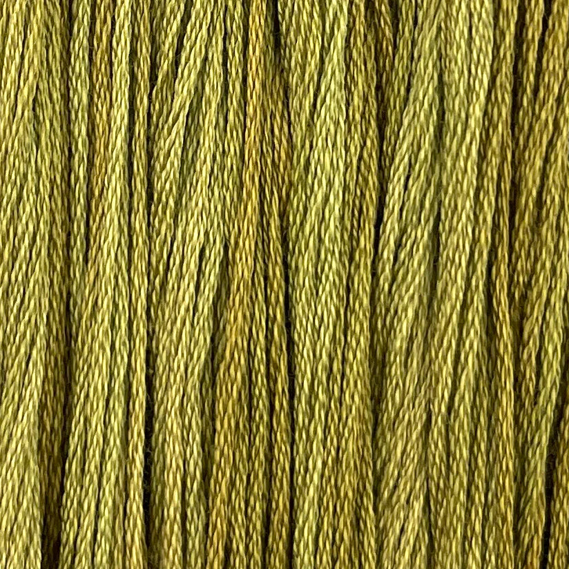 Colour and Cotton Thread - Primitive Vines