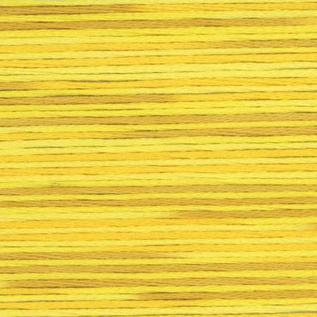 5009 Cosmo Seasons Variegated Cotton Embroidery Floss