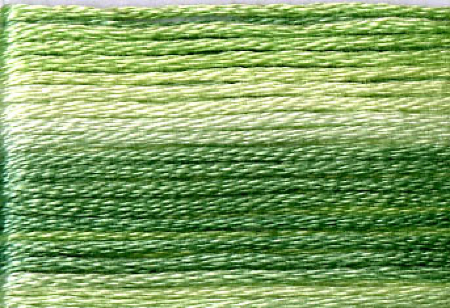 8012 Cosmo Seasons Variegated Cotton Embroidery Floss Greens