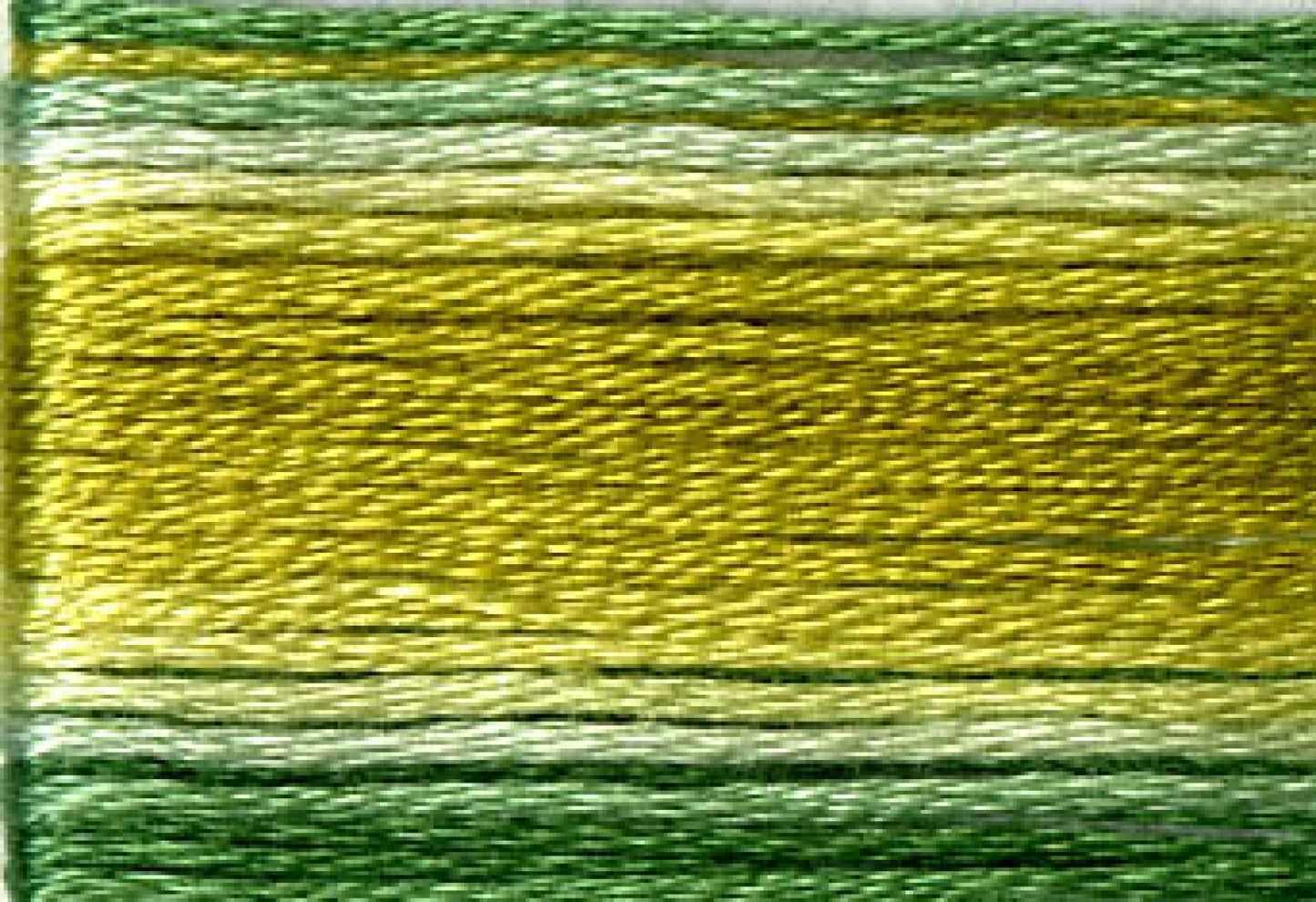 8019 Cosmo Seasons Variegated Cotton Embroidery Floss Greens