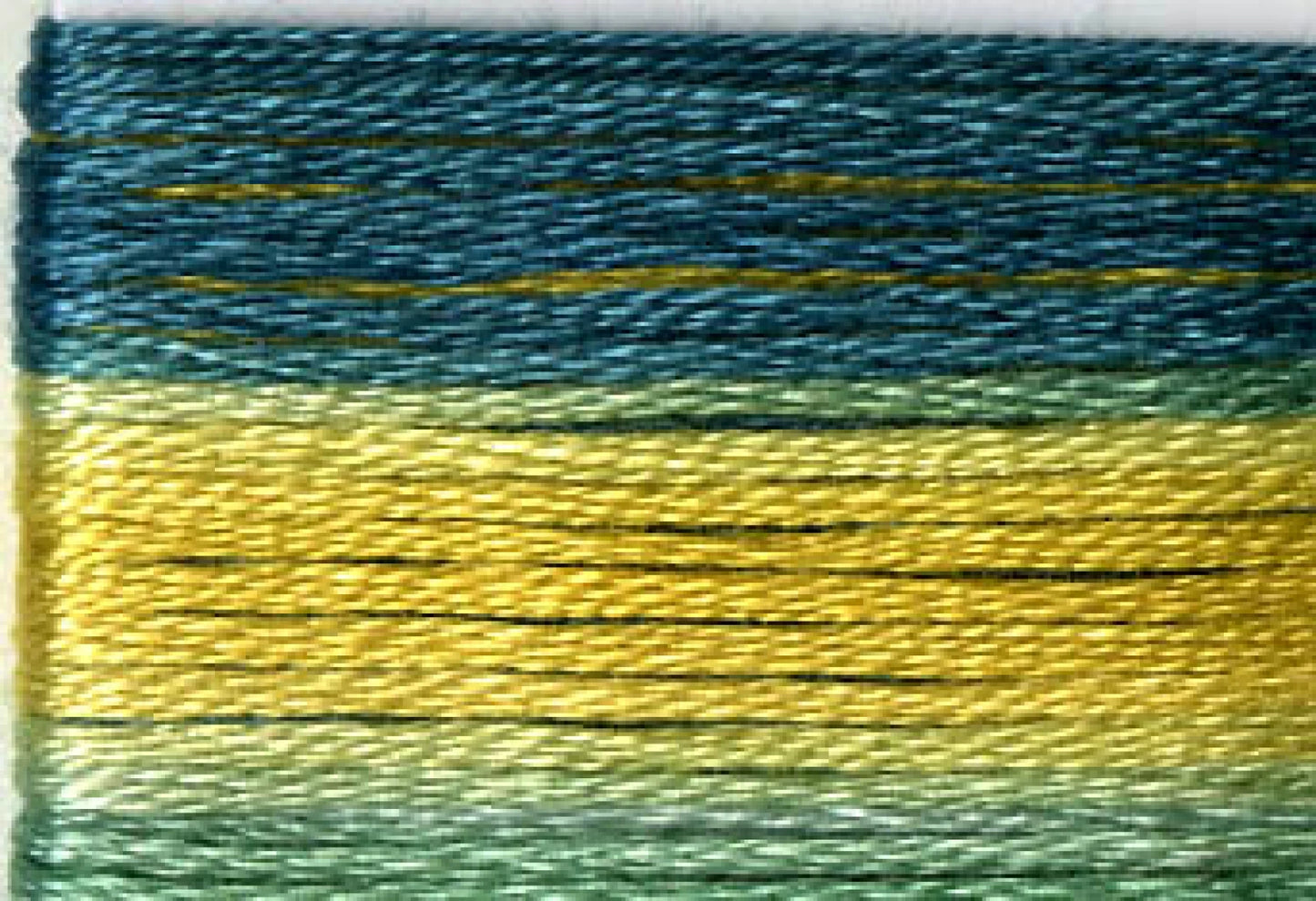 8020 Cosmo Seasons Variegated Cotton Embroidery Floss Greens/Gold