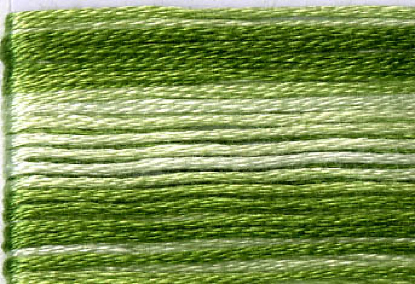 8021 Cosmo Seasons Variegated Cotton Embroidery Floss Greens