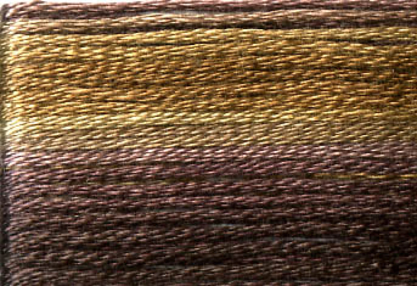 8042 Cosmo Seasons Variegated Cotton Embroidery Floss Browns