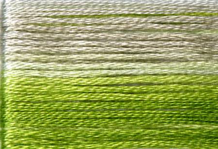 8015 Cosmo Seasons Variegated Cotton Embroidery Floss Greens/Pale Grey