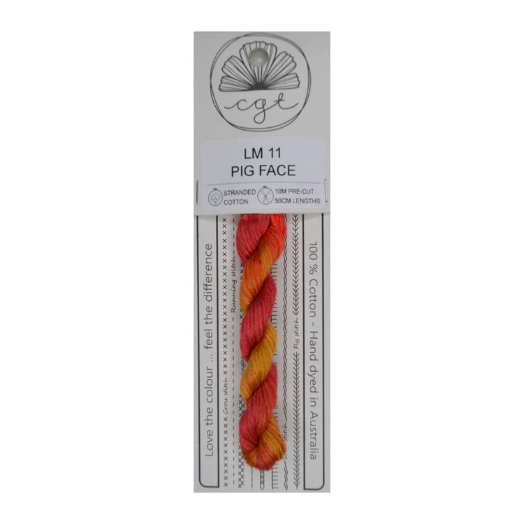 Pig Face (No. LM11) - Cottage Garden Thread