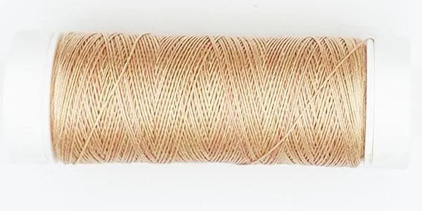 P009 - Longan - Au Ver a Soie - 100/3 Soie Silk Painter's Threads