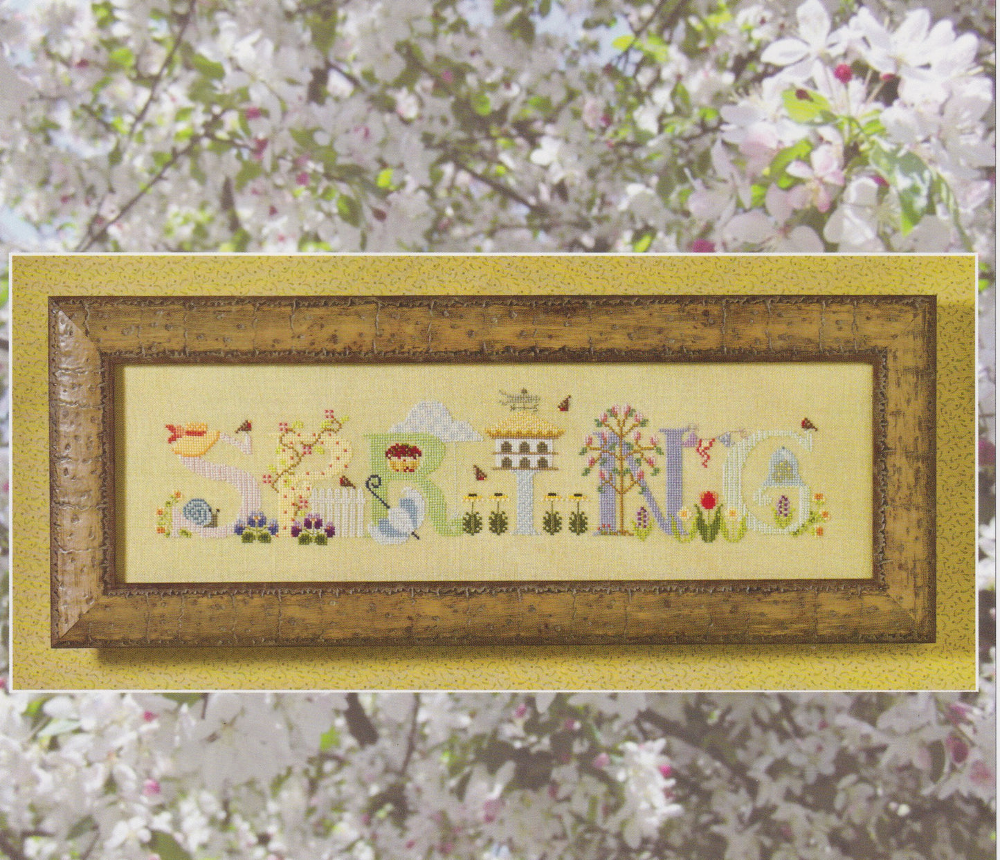 Spring - The Cricket Collection - The Cross-Eyed Cricket