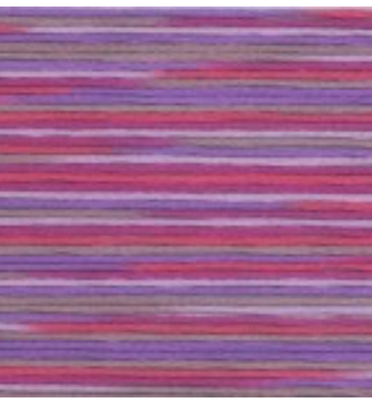 5025 Cosmo Seasons Variegated Cotton Embroidery Floss