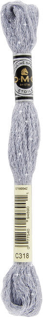 DMC Mouline Etoile Embroidery Thread - #C318