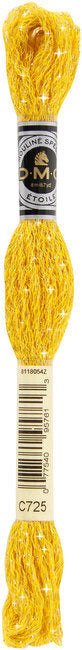 DMC Mouline Etoile Embroidery Thread - #C725