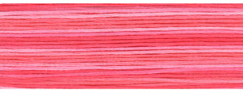 8010 Cosmo Seasons Variegated Cotton Embroidery Floss