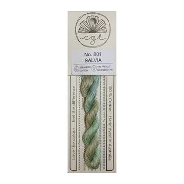 Salvia (No. 801) - Cottage Garden Threads