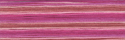 8061 Cosmo Seasons Variegated Cotton Embroidery Floss