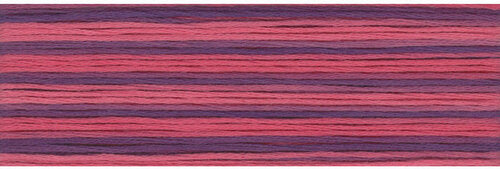 8062 Cosmo Seasons Variegated Cotton Embroidery Floss