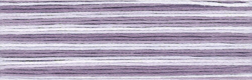 8064 Cosmo Seasons Variegated Cotton Embroidery Floss