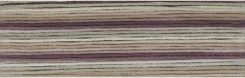 8065 Cosmo Seasons Variegated Cotton Embroidery Floss