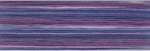 8066 Cosmo Seasons Variegated Embroidery Floss