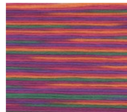 5038 Cosmo Seasons Variegated Cotton Embroidery Floss