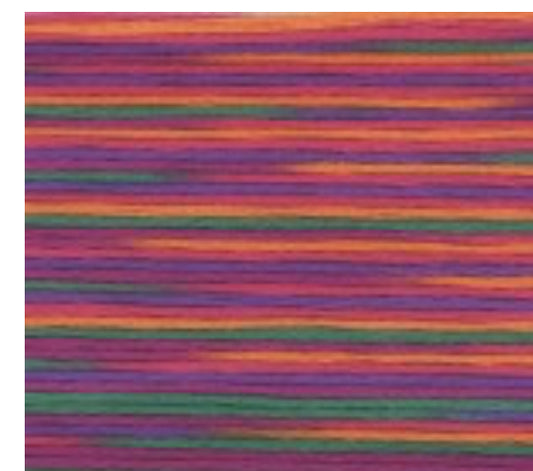 5038 Cosmo Seasons Variegated Cotton Embroidery Floss