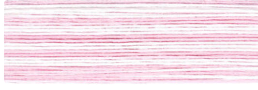 8004 Cosmo Seasons Variegated Cotton Embroidery Floss