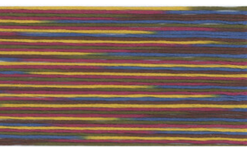 5039 Cosmo Seasons Variegated Cotton Embroidery Floss