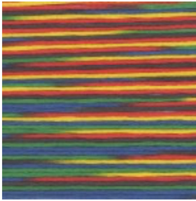 5037 Cosmo Seasons Variegated Cotton Embroidery Floss