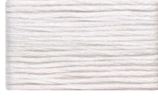 8002 Cosmo Seasons Variegated Cotton Embroidery Floss