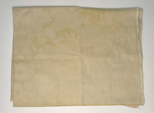 16 Count Aida - Wren - Picture This Plus