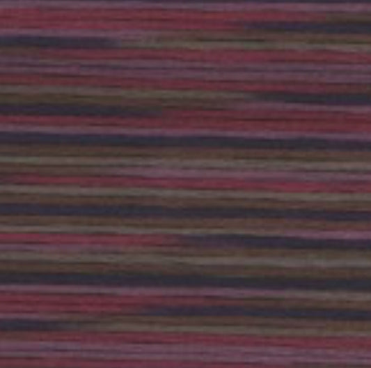 5027 Cosmo Seasons Variegated Cotton Embroidery Floss
