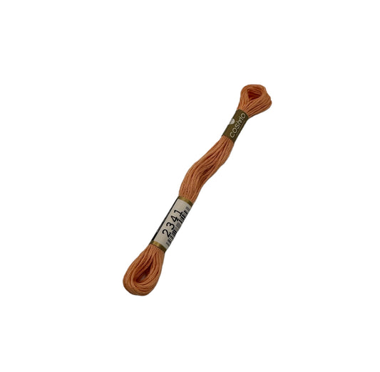 2512-2341 Cosmo Cotton Embroidery Floss