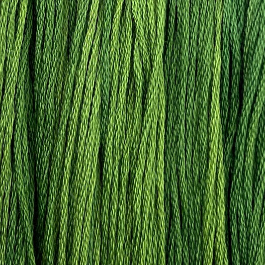 Colour and Cotton Thread - Emerald