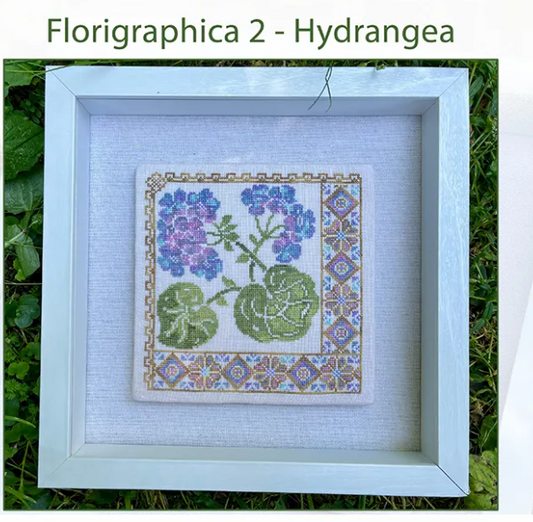 Florigraphica 2 - Hydrangea - Jan Hicks Creates!