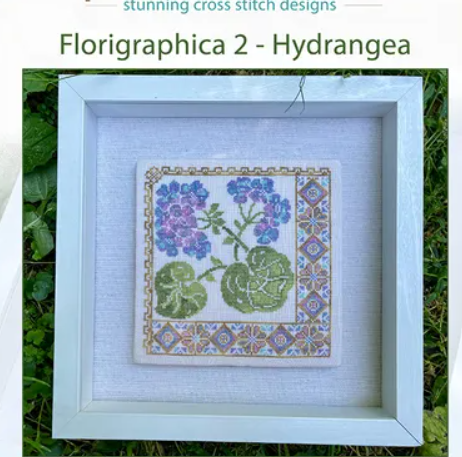 Florigraphica 2- Iris - Jan Hicks Creates!