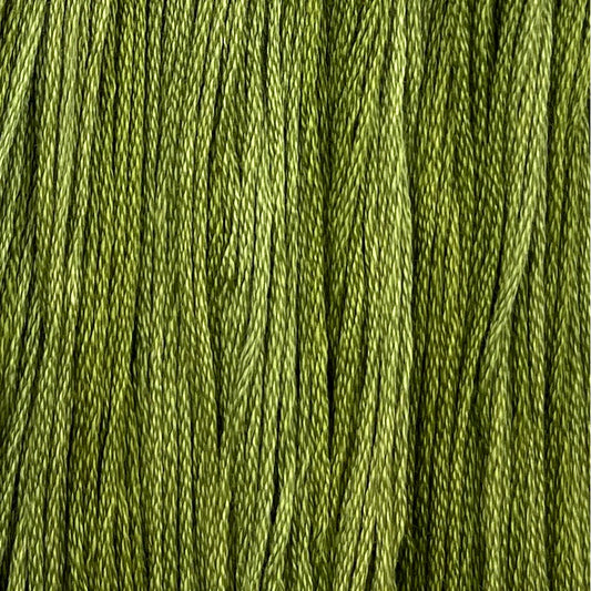 Colour and Cotton Thread - Fritz