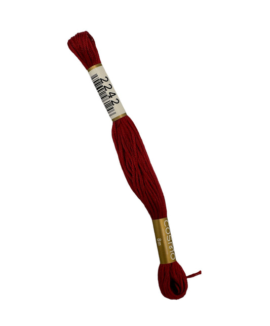 2512-2242 Cosmo Cotton Embroidery Floss