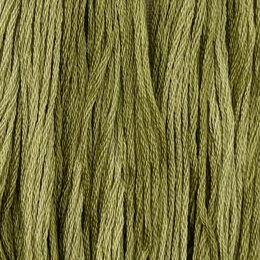 Colour and Cotton Thread - Holly