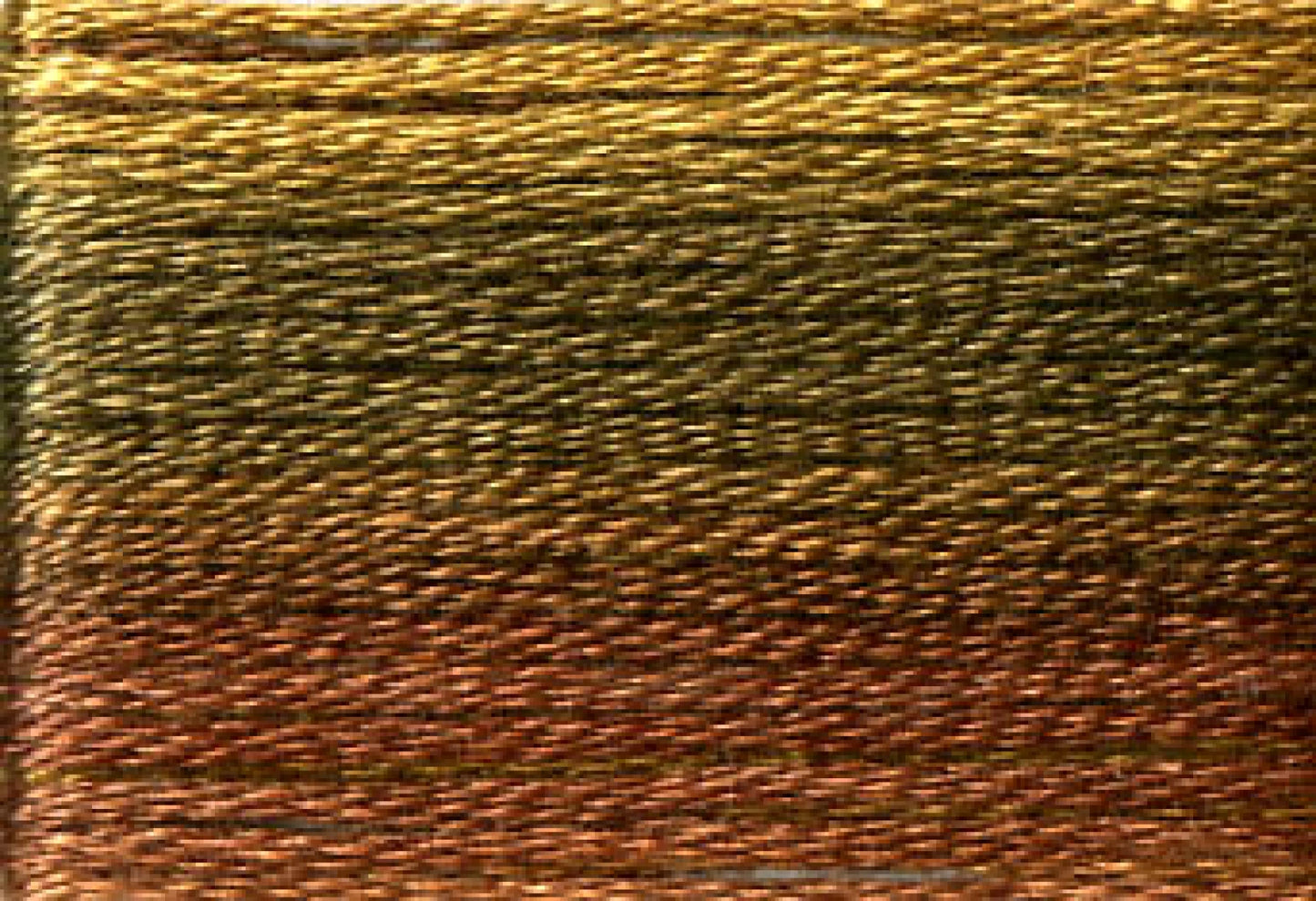 8037 Cosmo Seasons Variegated Cotton Embroidery Floss