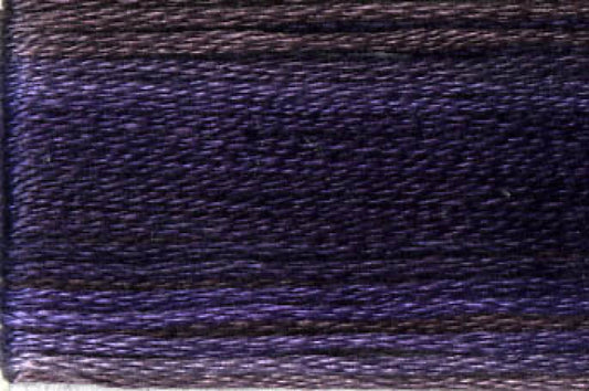 8069 Cosmo Seasons Variegated Cotton Embroidery Floss
