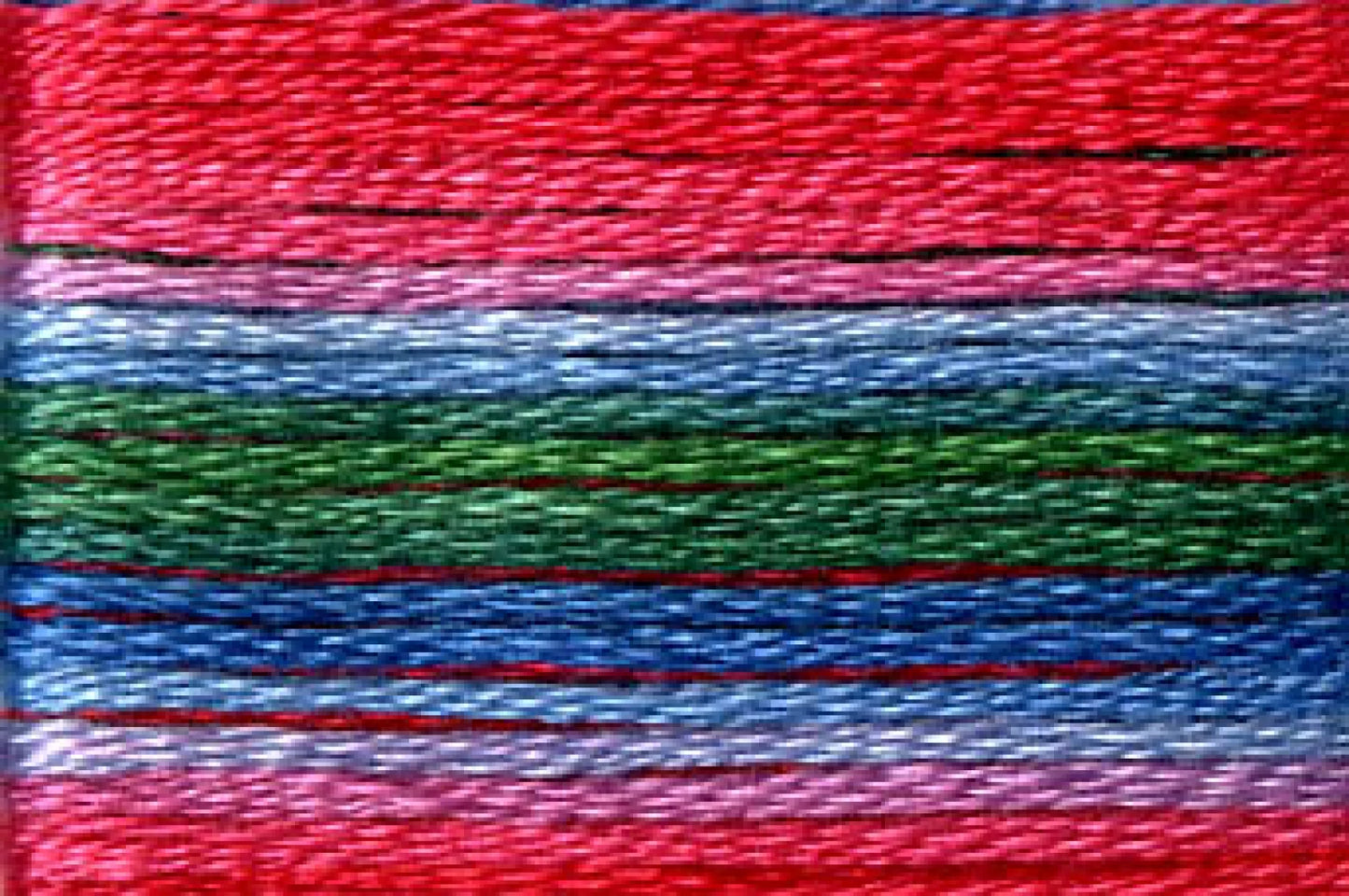 8080 Cosmo Seasons Variegated Cotton Embroidery Floss