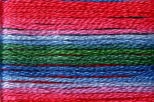8080 Cosmo Seasons Variegated Cotton Embroidery Floss