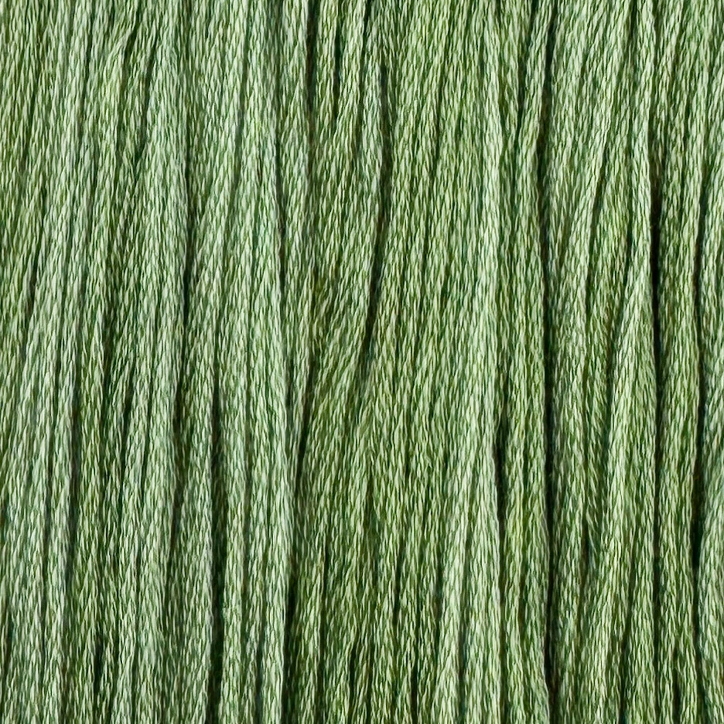 Colour and Cotton Thread - Aloe Vera