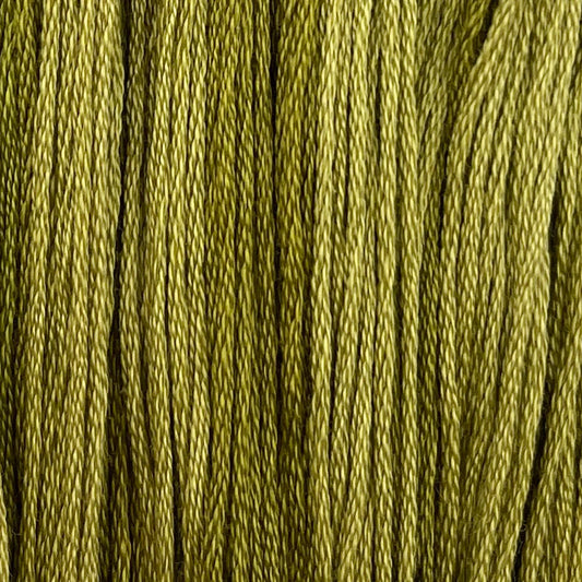 Colour and Cotton Thread - Tadpole