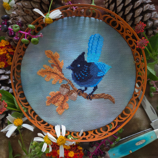 Steller's Jay - BAD Stitch - 2026 Needlework Marketplace PREORDER